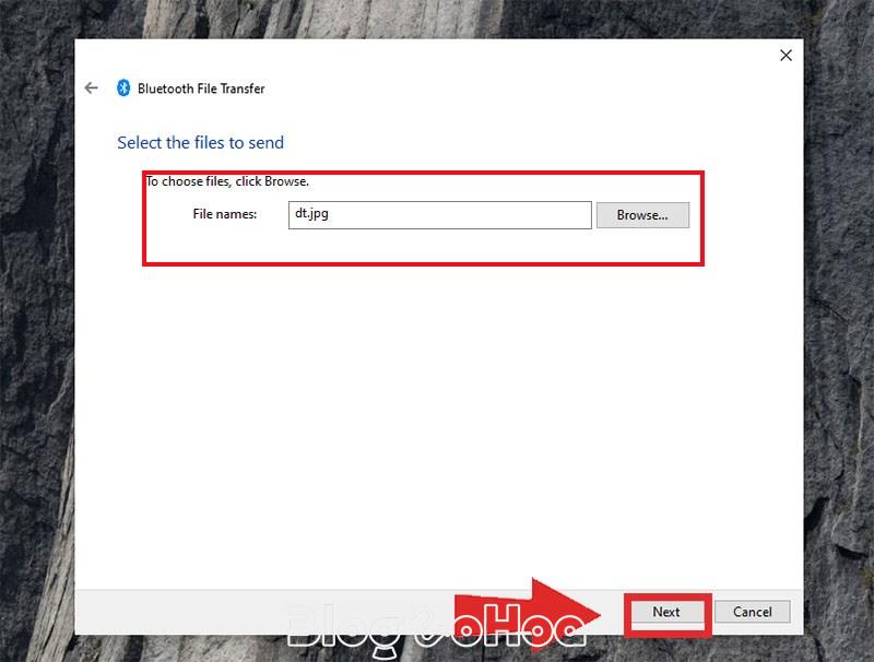 Điền tên file mà bạn muốn Điền tên file mà bạn muốn